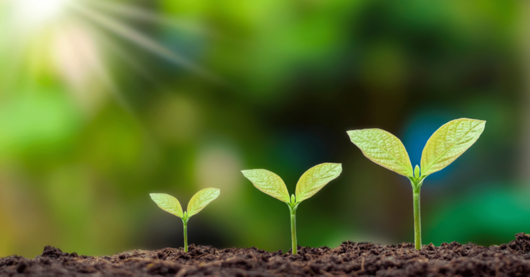 Universities with Environmental Focus